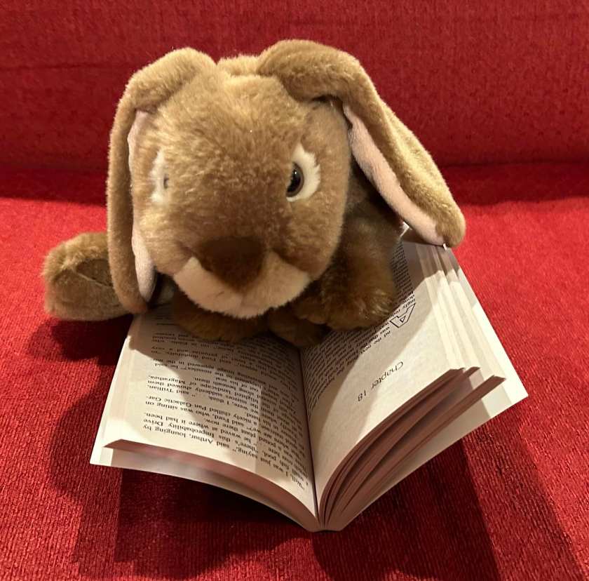 Caramel is reading The Hitchhiker's Guide to the Galaxy by Douglas Adams.