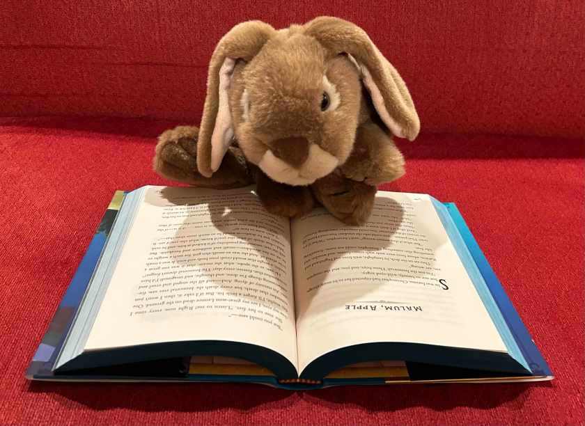 Caramel is reading Impossible Creatures by Katherine Rundell.