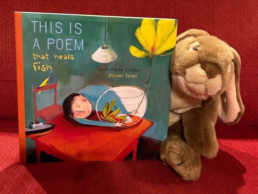 Caramel loved reading This is a Poem That Heals Fish, written by Jean-Pierre Siméon, illustrated by Olivier Tallec and translated by Claudia Zoe Bedrick, and sharing it with the readers of the book bunnies blog!