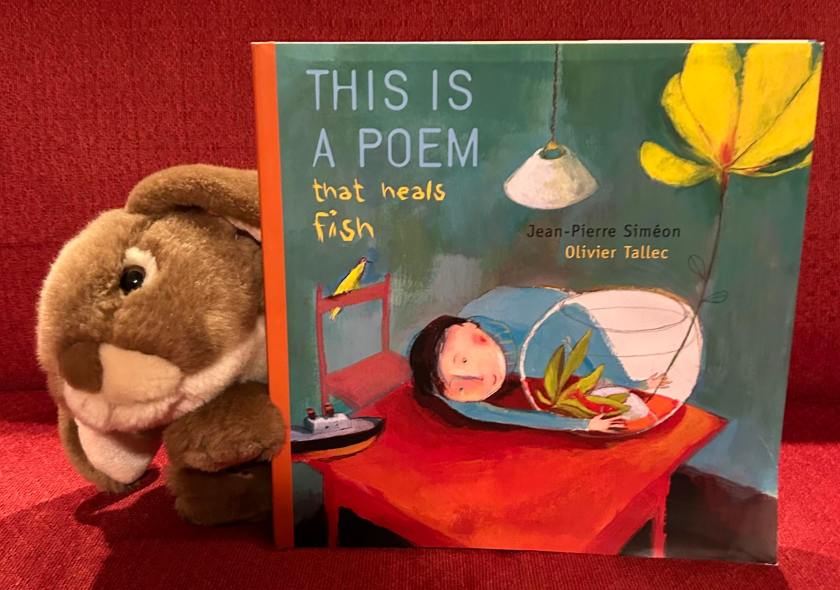 Caramel reviews This is a Poem That Heals Fish written by Jean-Pierre Siméon, illustrated by Olivier Tallec and translated by Claudia Zoe Bedrick.