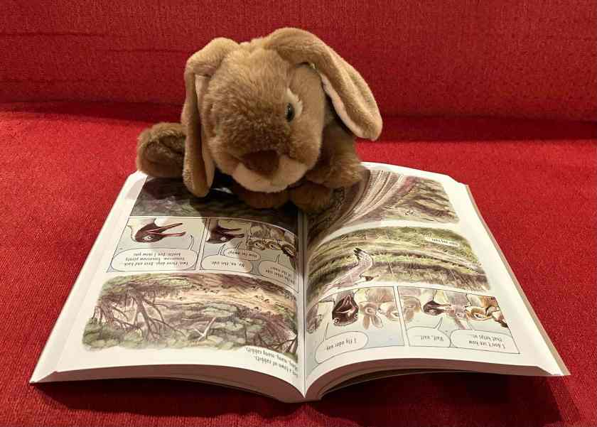 Caramel is reading Watership Down: The Graphic Novel, written by Richard Adams, adapted by James Sturm, and illustrated by Joe Sutphin.