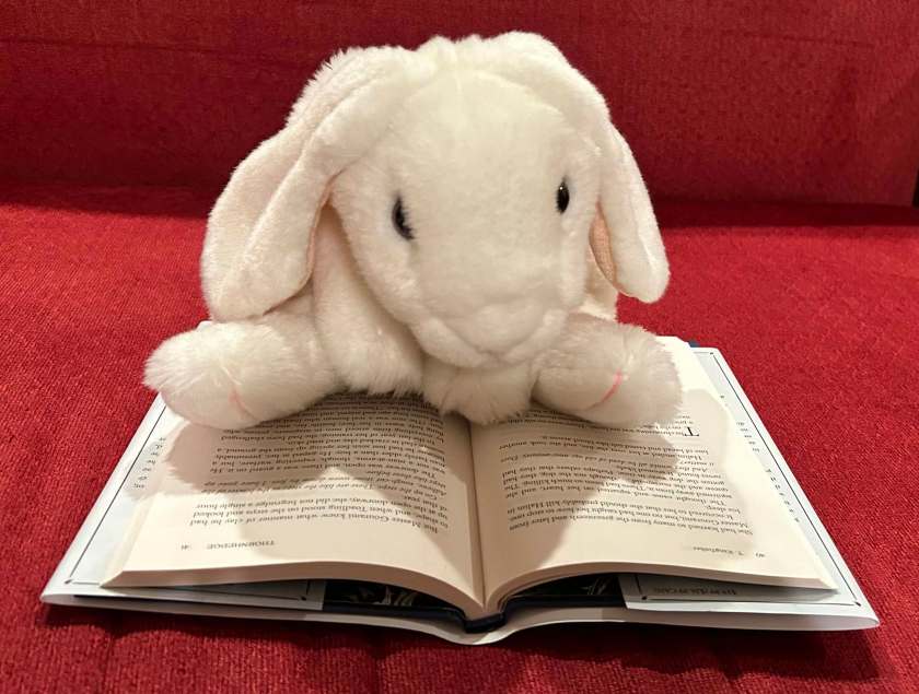 Marshmallow is reading Thornhedge by T. Kingfisher.