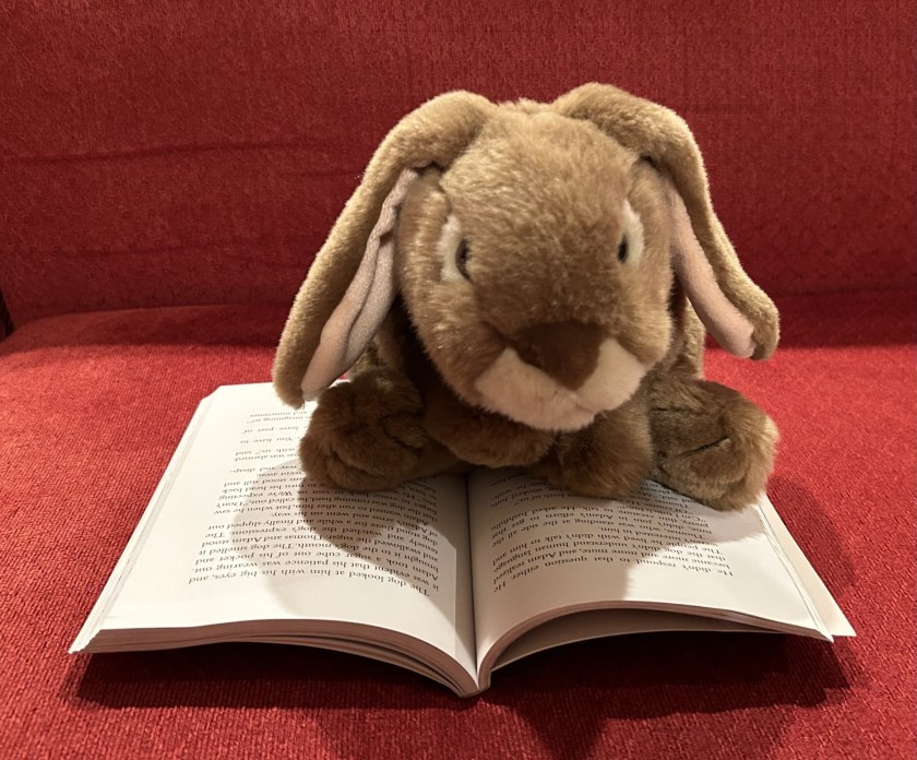 Caramel is reading Adam & Thomas, written by Aharon Appelfeld, translated into English by Jeffrey M. Green, and illustrated by Philippe Dumas. 