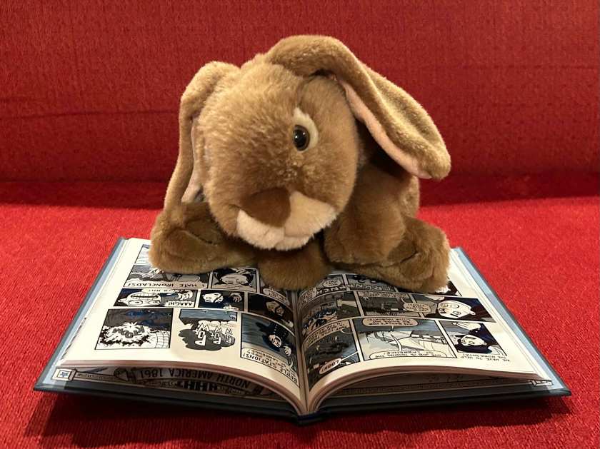 Caramel is reading Nathan Hale’s Hazardous Tales #4: Big Bad Ironclad by Nathan Hale.