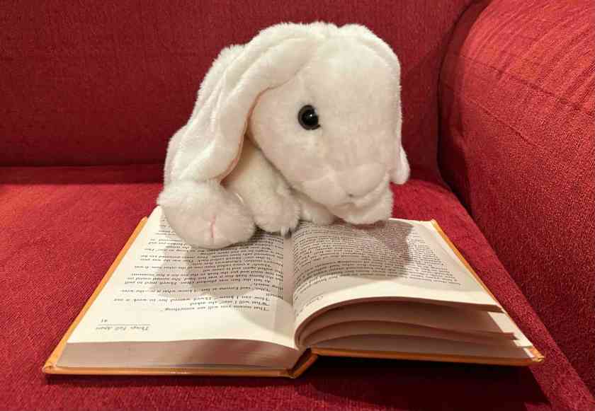 Marshmallow is reading Things Fall Apart by Chinua Achebe. 