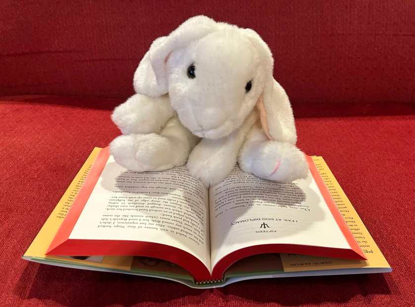 Marshmallow is reading The Wrath of the Triple Goddess (Book 2 of Percy Jackson and the Olympians: The Senior Year Adventures) by Rick Riordan.