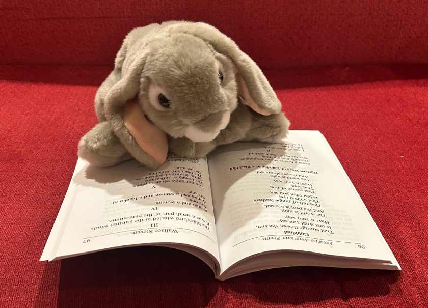 Sprinkles is reading Favorite American Poems edited by Paul Negri.