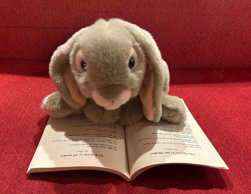 Sprinkles is reading "The Desert is My Mother," and its Spanish version, by Pat Mora in How to Eat A Poem: A Smorgasbord of Tasty and Delicious Poems for Young People, edited by the American Poetry & Literacy Project and the Academy of American Poets.