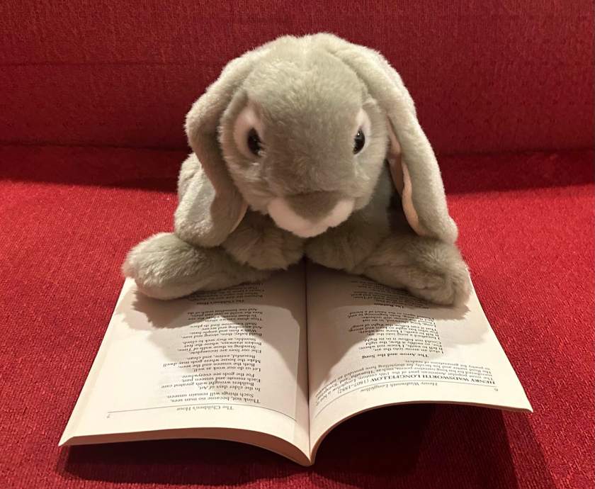 Sprinkles is reading 101 Great American Poems collated by the American Poetry & Literacy Project.
