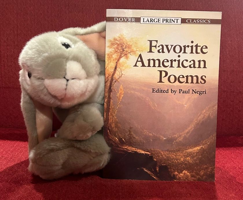 Sprinkles reviews Favorite American Poems edited by Paul Negri.