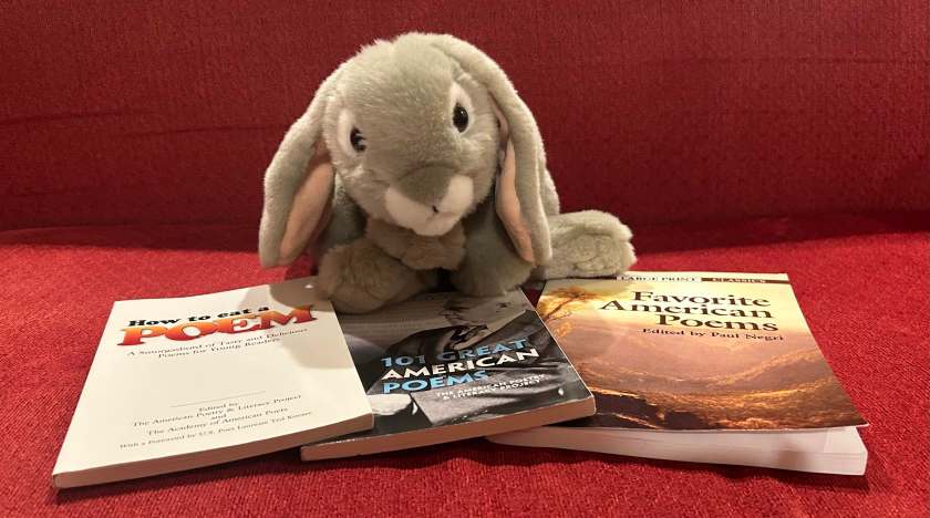 Sprinkles reviews 101 Great American Poems collated by the American Poetry & Literacy Project, Favorite American Poems edited by Paul Negri, and How to Eat A Poem: A Smorgasbord of Tasty and Delicious Poems for Young People edited by the American Poetry & Literacy Project and the Academy of American Poets. 