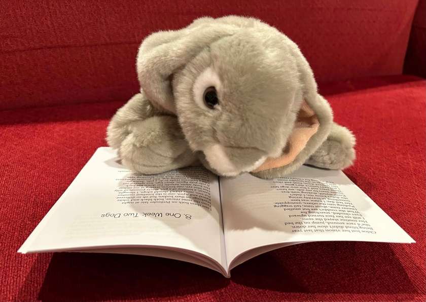 Sprinkles is reading Sleeping With Dogs: A Poetic Memoir by Barbara Barth, as part of a blog tour hosted by Women on Writing.