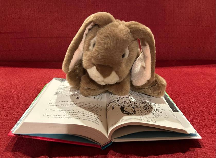 Caramel is reading The Misfits: A Royal Conundrum, written by Lisa Yee and illustrated by Dan Santat.