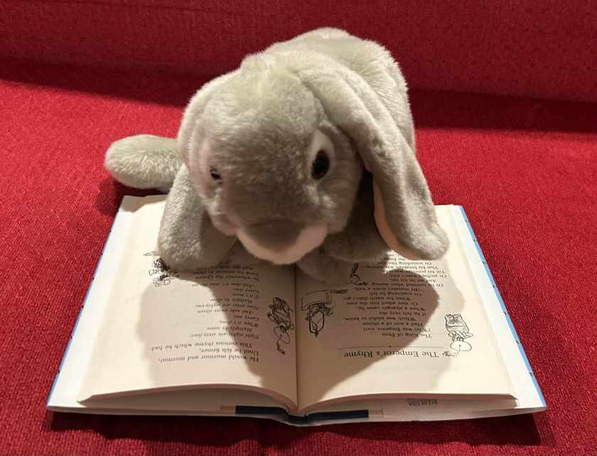 Sprinkles is reading Now We Are Six, written by A.A. Milne and illustrated by Ernest H. Shepard.