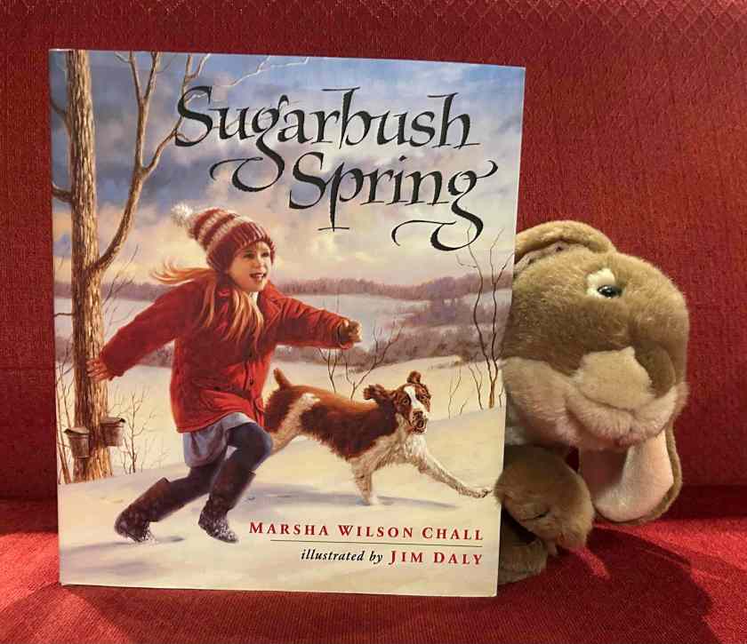 Caramel enjoyed reading Sugarbush Spring, written by Marsha Wilson Chall and illustrated by Jim Daly, and recommends it to all little bunnies who are curious about spring time in other places, and all those who love maple syrup. 