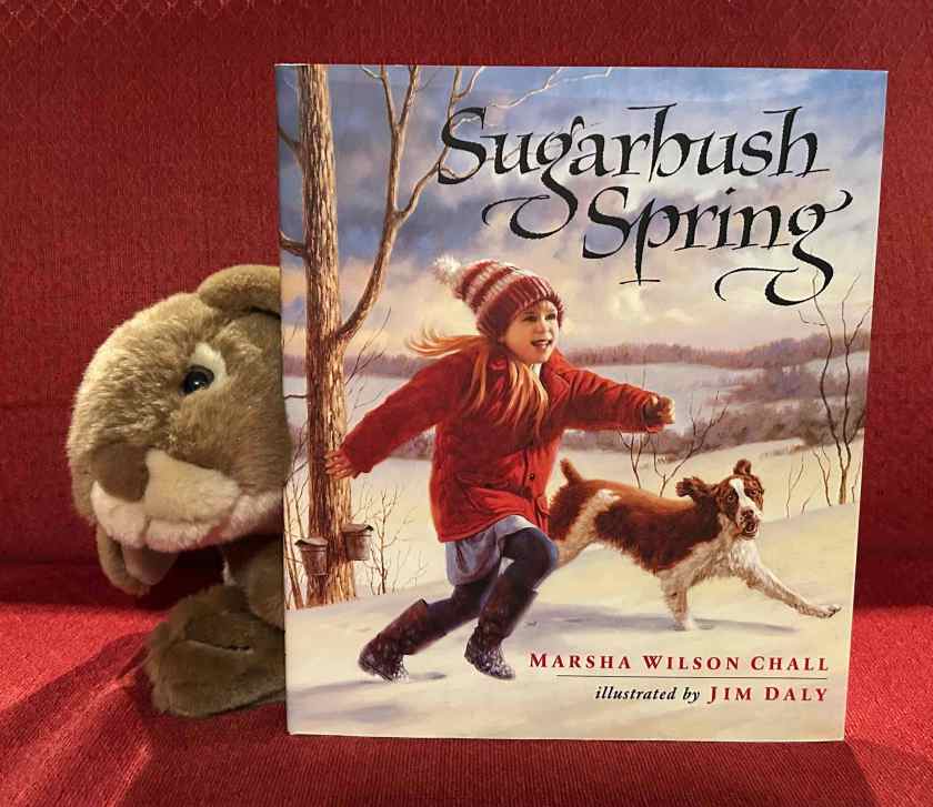 Caramel reviews Sugarbush Spring, written by Marsha Wilson Chall and illustrated by Jim Daly.