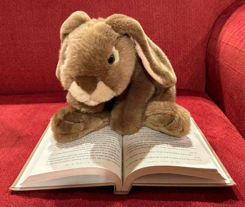 Caramel is reading The Giver by Lois Lowry.