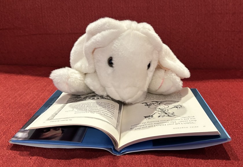 Marshmallow is reading The Rabbits' Rebellion, written by Ariel Dorfman and illustrated by Chris Riddell. 