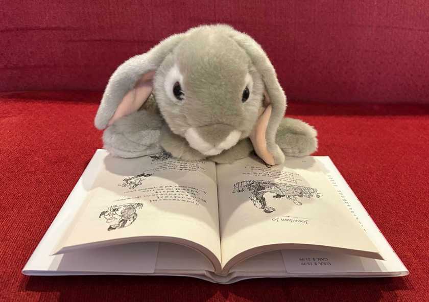 Sprinkles is reading When We Were Very Young, written by A.A. Milne and illustrated by Ernest H. Shepard.