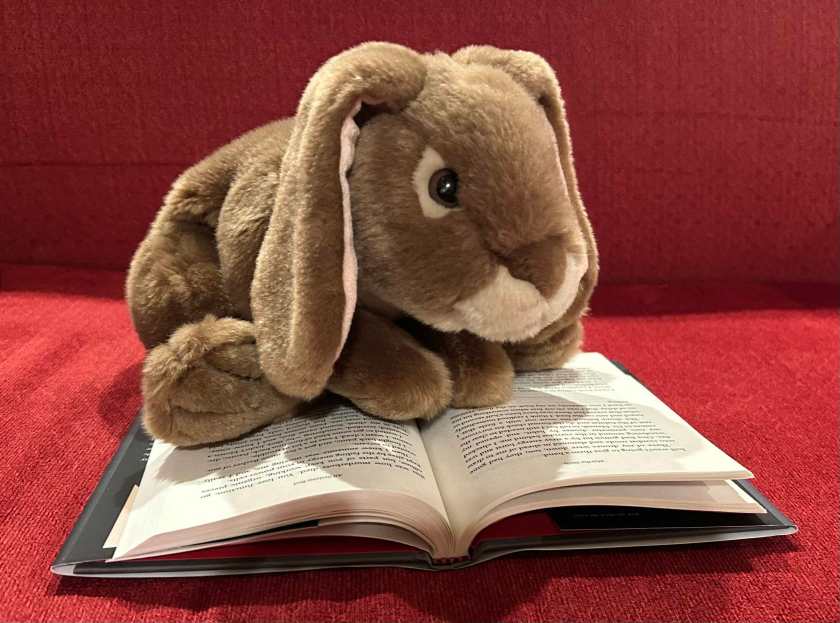 Caramel is reading All Systems Red: The Murderbot Diaries by Martha Wells.