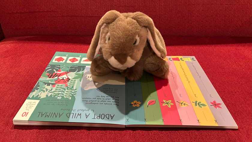 Caramel is reading The Extraordinary Book That Eats Itself, written by Susan Hayes and Penny Arlon, and illustrated by Pintachan.