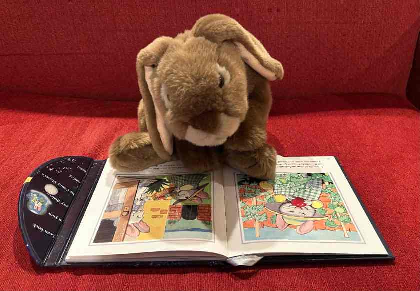 Caramel is reading Voyage to the Bunny Planet by Rosemary Wells.