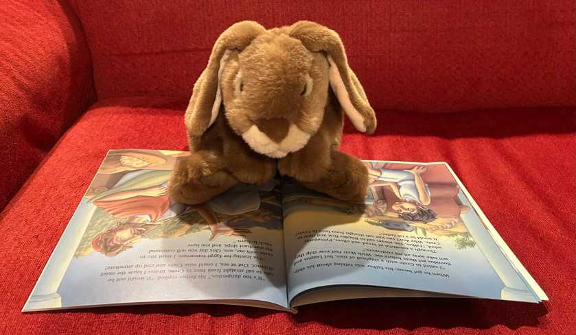 Caramel is reading What's Your Angle, Pythagoras? A Math Adventure, written by Julie Ellis and illustrated by Phyllis Hornung.
