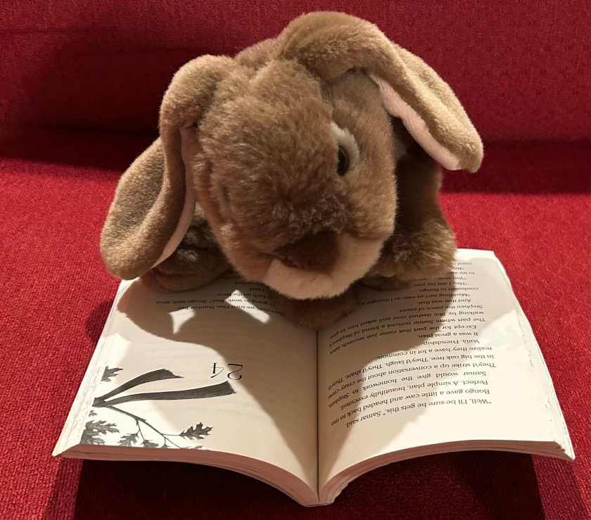 Caramel is reading Wishtree by Katherine Applegate.