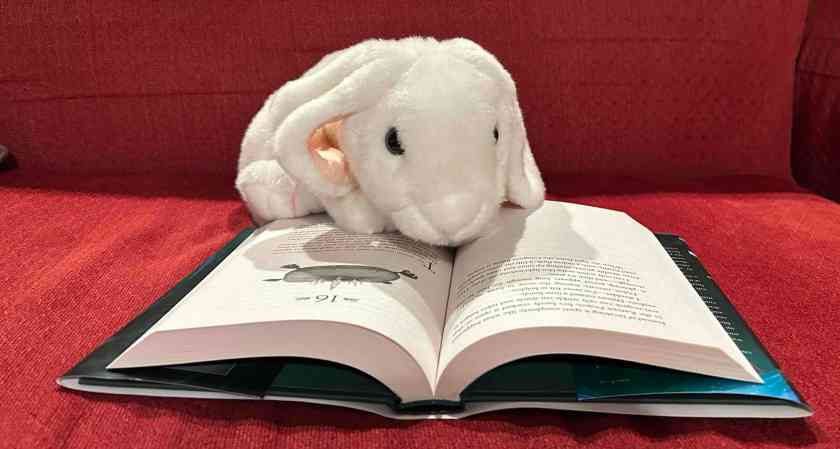 Marshmallow is reading Amari and the Despicable Wonders by B.B. Alston.