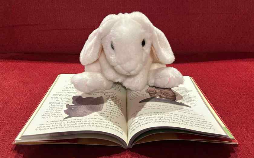 Marshmallow is reading On Tyranny: Graphic Edition, written by Timothy Snyder and illustrated by Nora Krug.