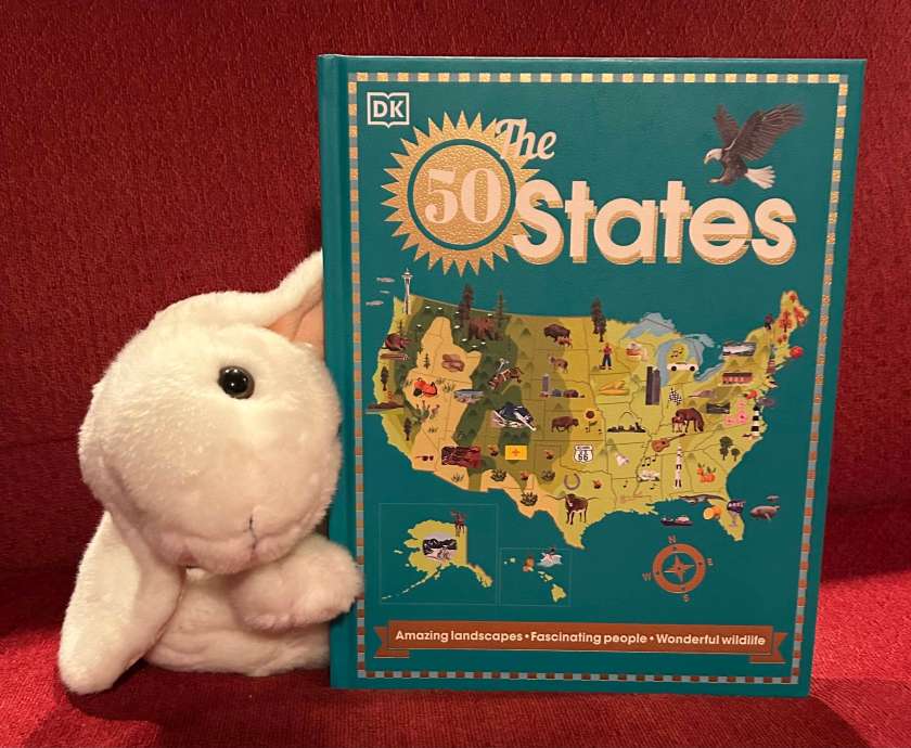 Marshmallow reviews The 50 States by Kana Kavon.