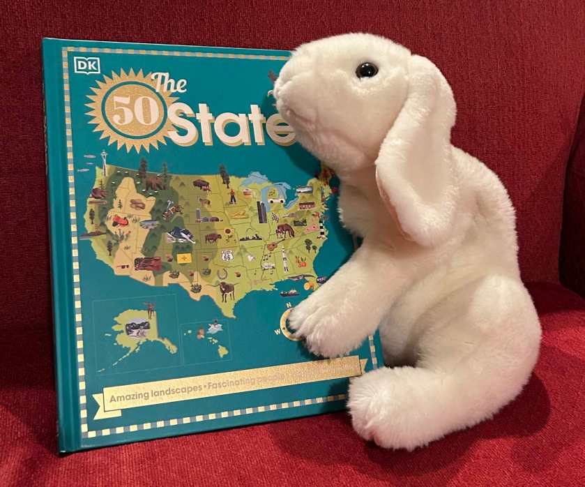 Marshmallow rates The 50 States by Kana Kavon 100%.