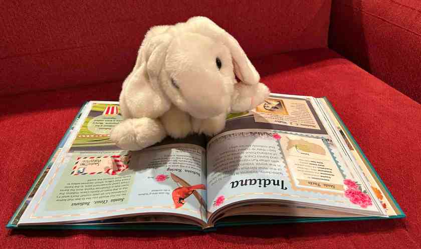 Marshmallow is reading The 50 States by Kana Kavon.