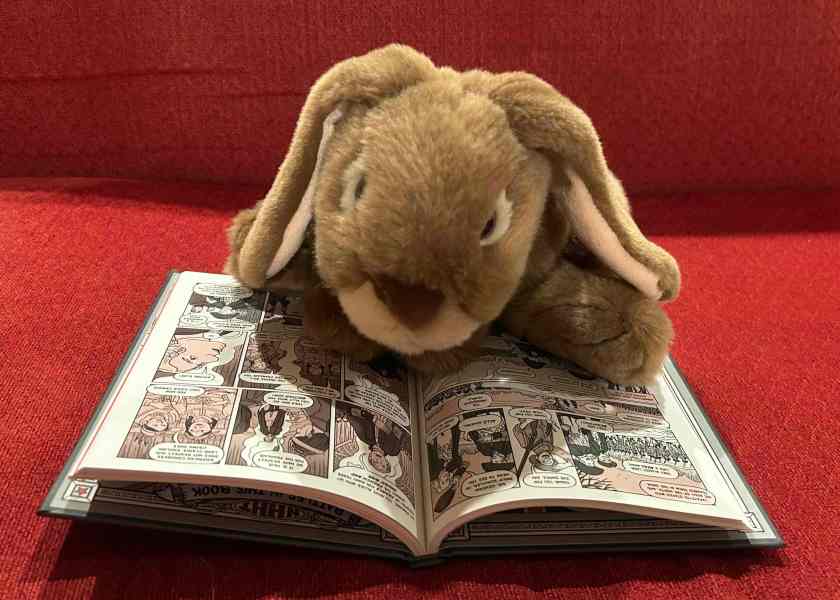 Caramel is reading Nathan Hale's Hazardous Tales #8: Lafayette! by Nathan Hale.