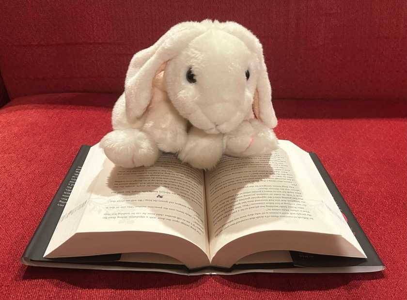 Marshmallow is reading Fearless by Lauren Roberts.