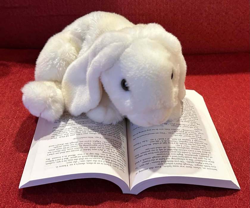 Marshmallow is reading The Handmaid's Tale by Margaret Atwood.