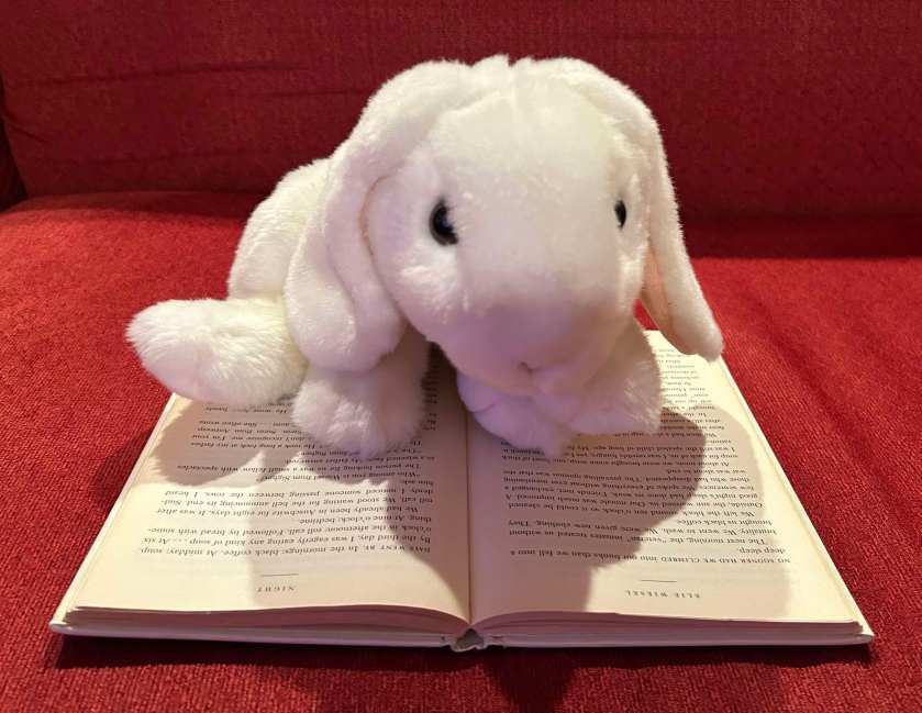 Marshmallow is reading Night by Elie Wiesel.