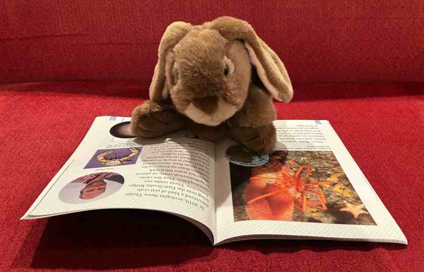 Caramel is reading Great Minds and Finds in Antarctica by Robin Koontz.
