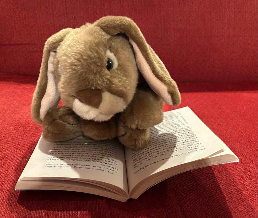 Caramel is reading Ingo by Helen Dunmore.