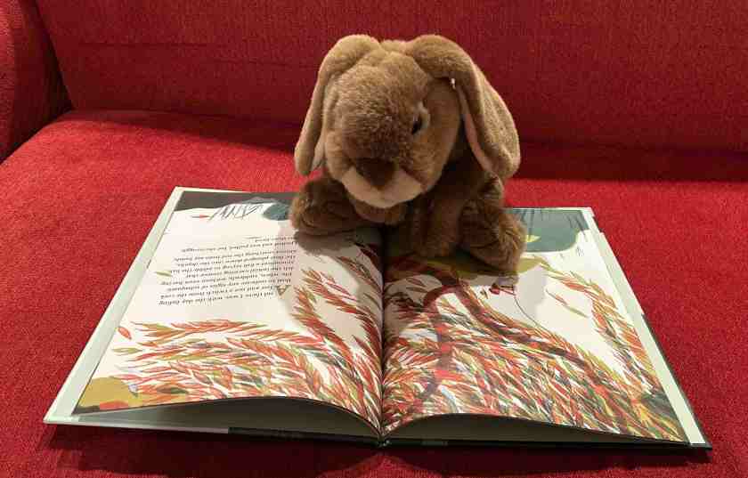 Caramel is reading The Silence of Water by José Saramago.