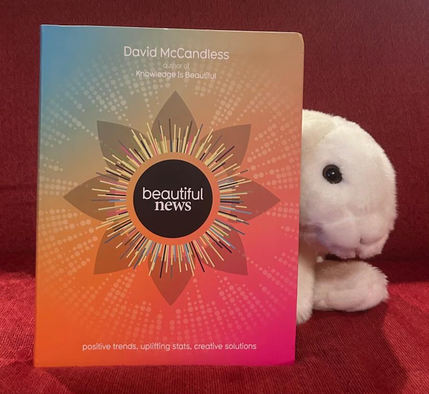 Marshmallow rates Beautiful News: Positive Trends, Uplifting Stats, Creative Solutions by David McCandless 150%!