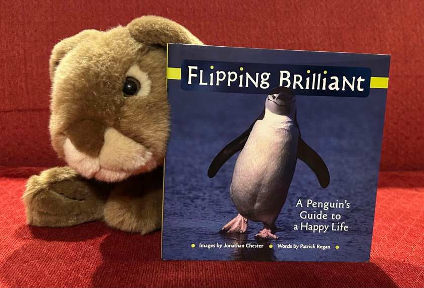 Caramel enjoyed reading Flipping Brilliant: A Penguin's Guide to a Happy Life by Jonathan Chester and Patrick Regan and recommends it to all little bunnies who love penguins. (After all, penguins are among the cutest animals, besides bunnies.)