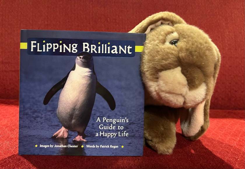 Caramel reviews Flipping Brilliant: A Penguin's Guide to a Happy Life by Jonathan Chester and Patrick Regan.