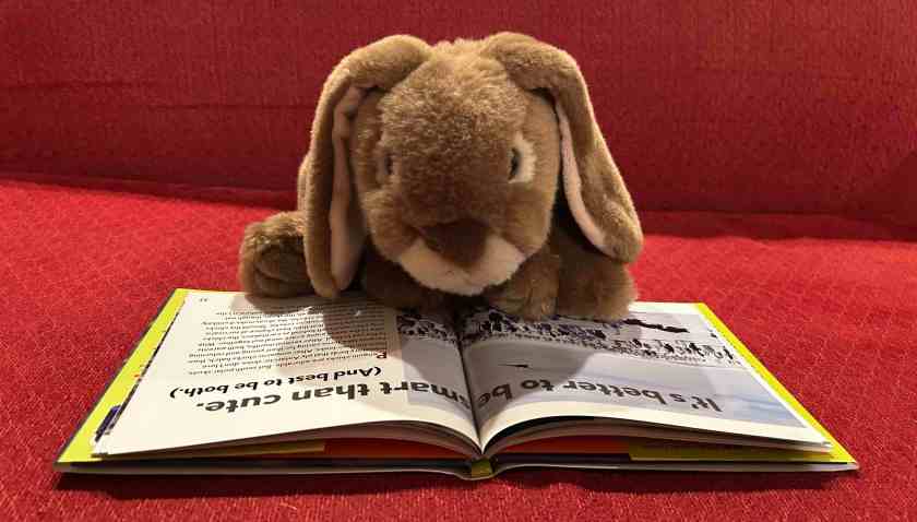 Caramel is reading Flipping Brilliant: A Penguin's Guide to a Happy Life by Jonathan Chester and Patrick Regan.