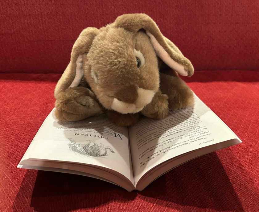 Caramel is reading Tiger Honor by Yoon Ha Lee.