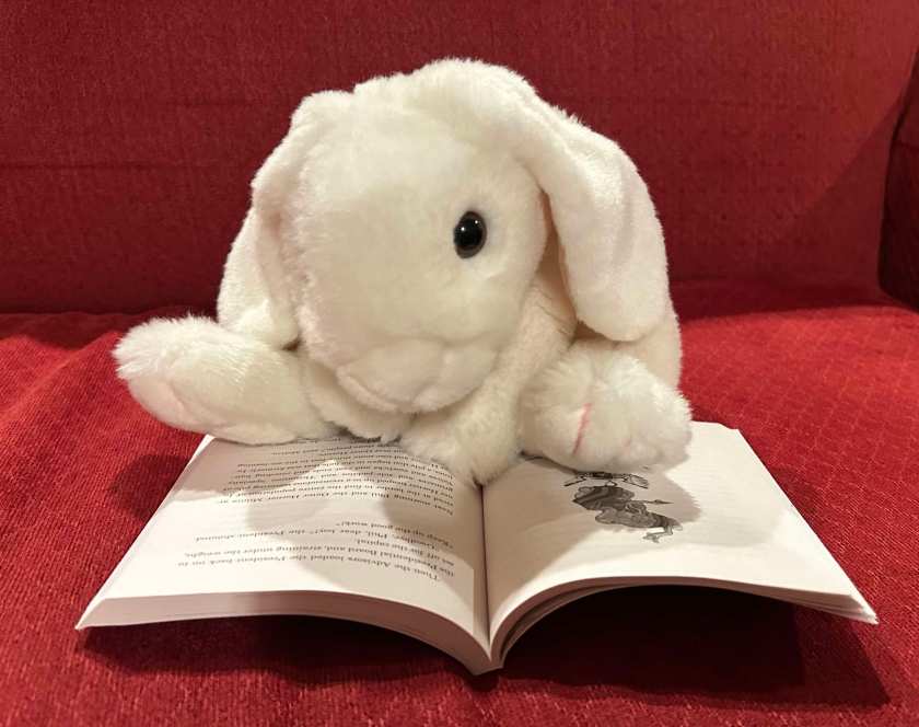 Marshmallow is reading The Brief and Frightening Reign of Phil by George Saunders.