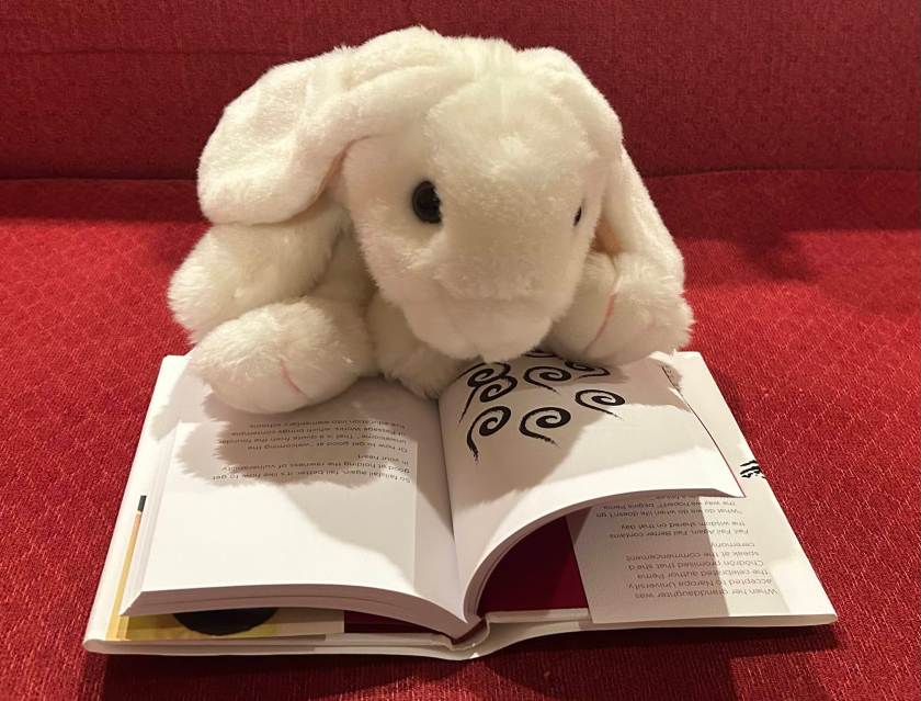 Marshmallow is reading Fail, Fail Again, Fail Better: Wise Advice for Leaning into the Unknown by Pema Chödrön. 