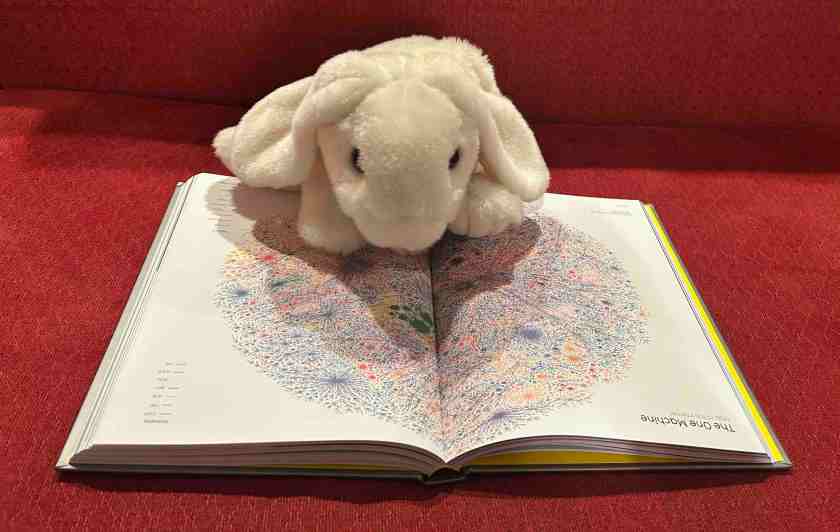 Marshmallow is reading Information is Beautiful by David McCandless. Here you see her viewing the two-page spread titled "The One Machine: Map of the Internet". 