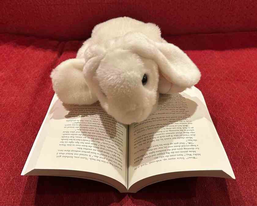 Marshmallow is reading North of Tomboy by Julie A. Swanson.