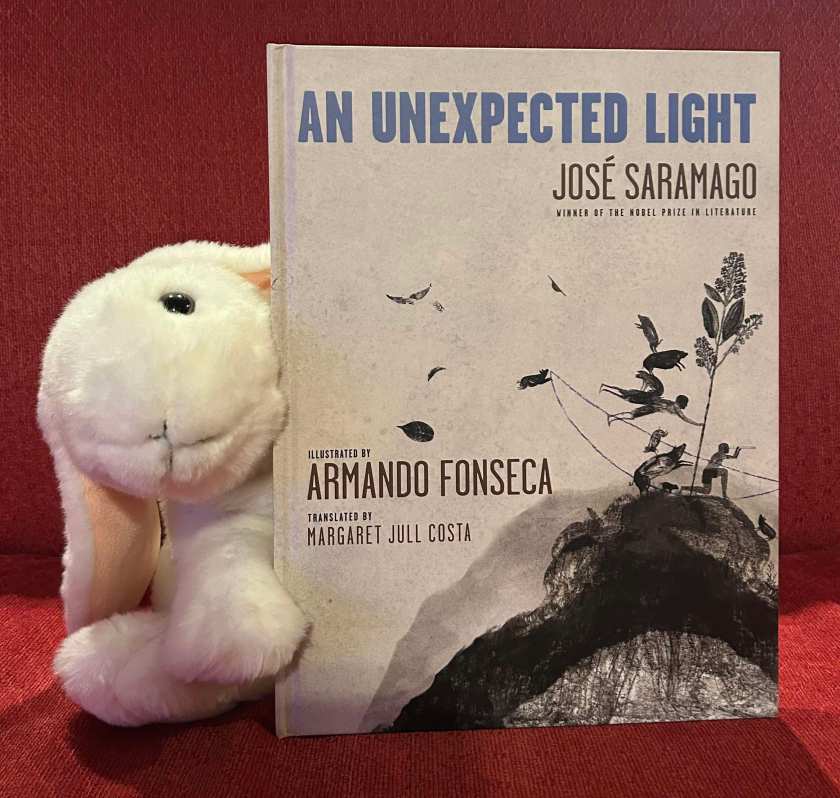 Marshmallow rates An Unexpected Light,  written by José Saramago, translated by Margaret Jull Costa, and illustrated by Armando Fonseca 10/10.